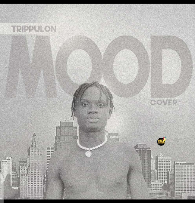 Trippulon Mood cover